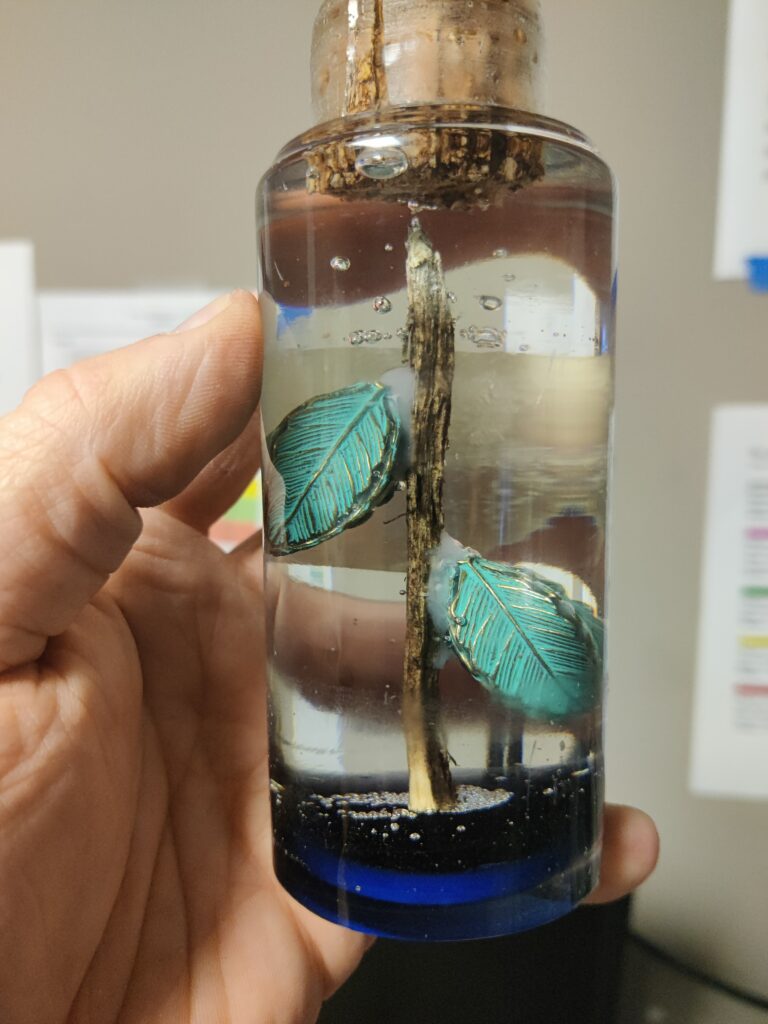 Potion Bottle